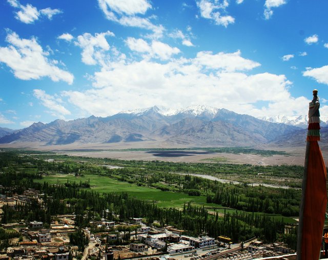 leh2.jpg