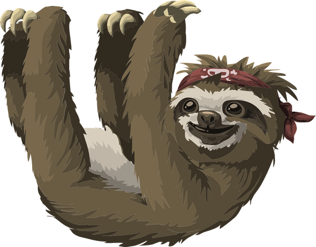 sloth-576521_1280.png