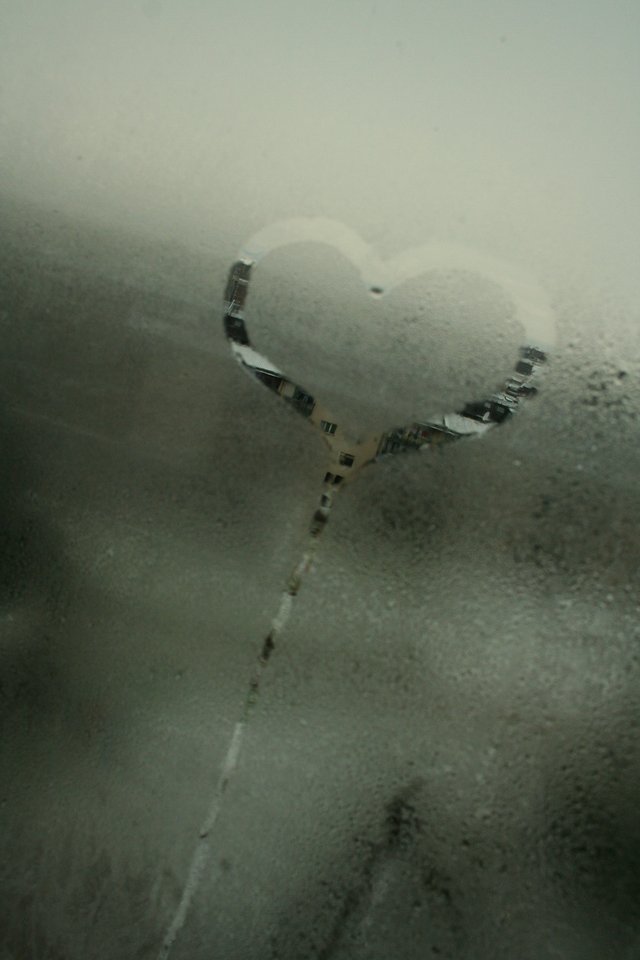 2212545793_c9d1fc30a0_o.jpg