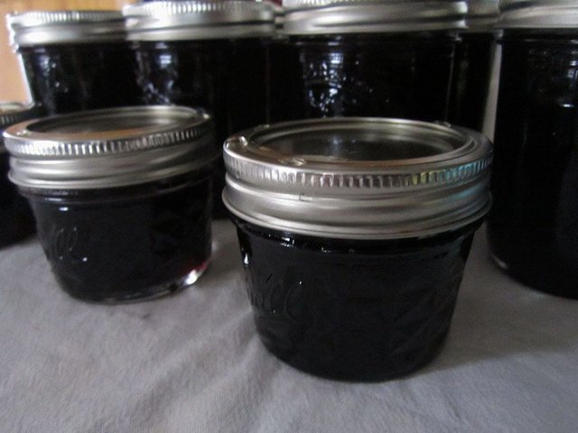 Grape Jelly 1n.jpg