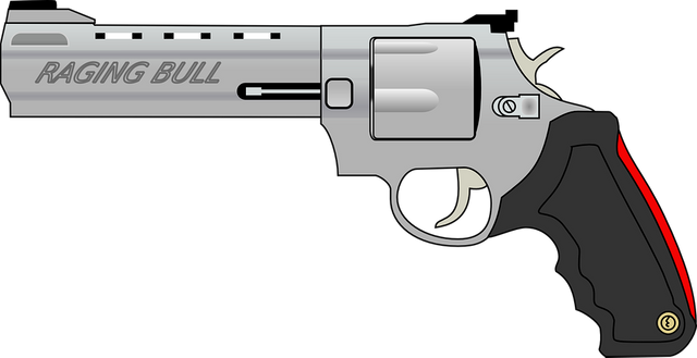 revolver-32184_960_720.png