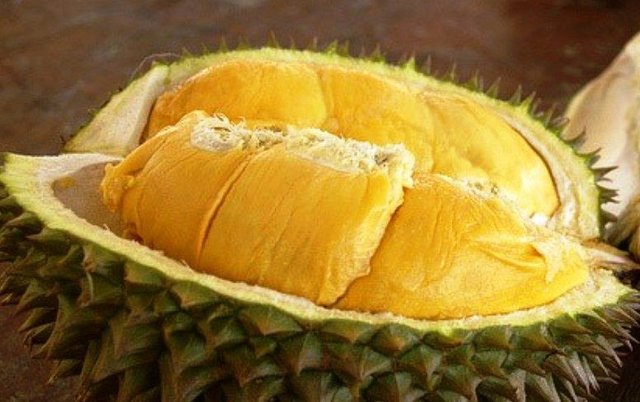 Download 7100 Koleksi Gambar Durian Matang Terbaik HD