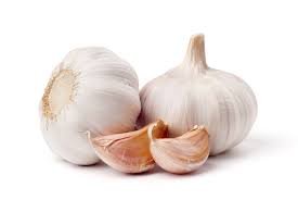 garlic.jpg