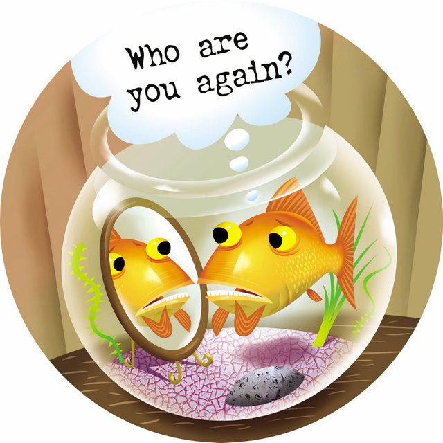 forgetful-fish.jpg