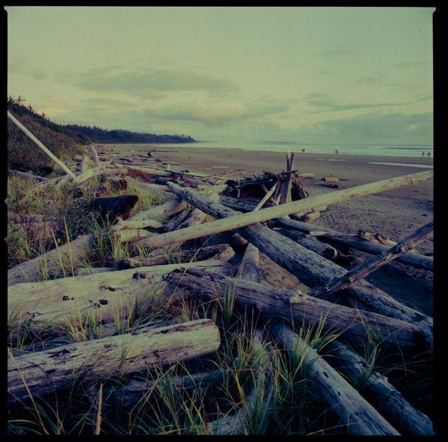 hass_velvia_expired_tofino18202017.jpg