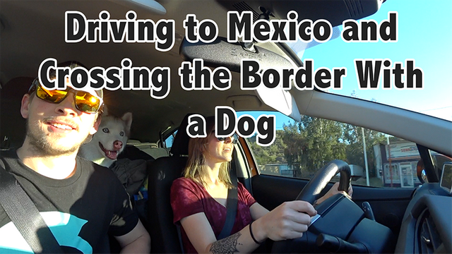 Driving to Mexico and crossing the border with a dog.png