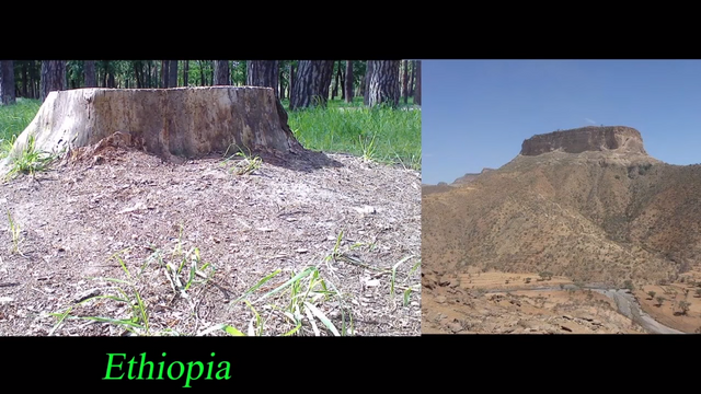 ETHIOPIA STUMP.png
