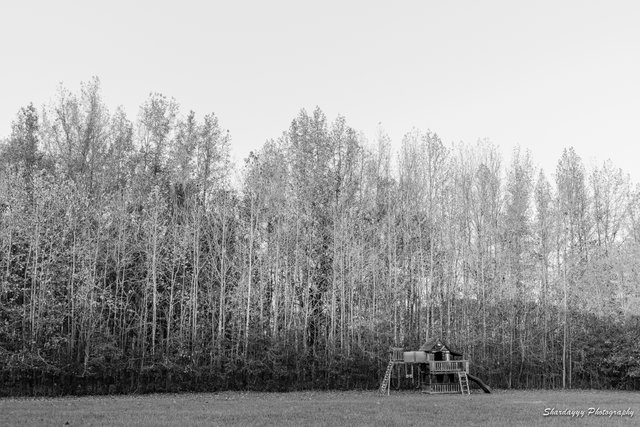 ShardayyyPhotography-20171113-SHA_8181.jpg