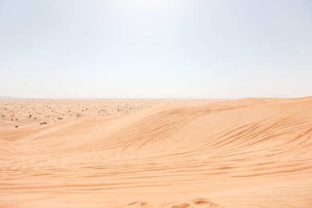 in-the-desert.jpg