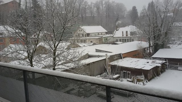 snow 1.jpg