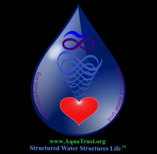 20160305 Structured Water Structures Life TM T-Shirt SITE ICON.jpg