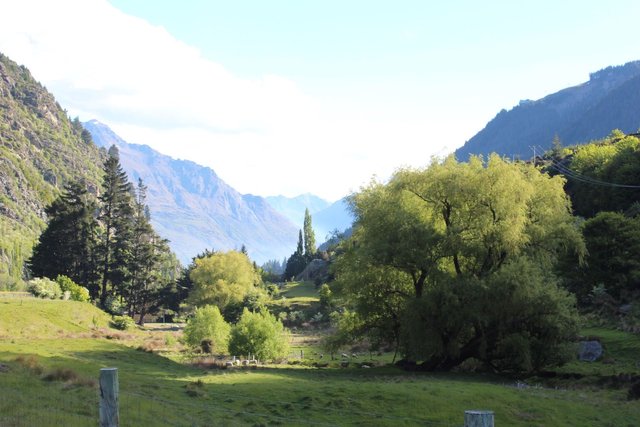 Mountain Valley New Zealand Painting Process Photos And Final Art Work Steemit