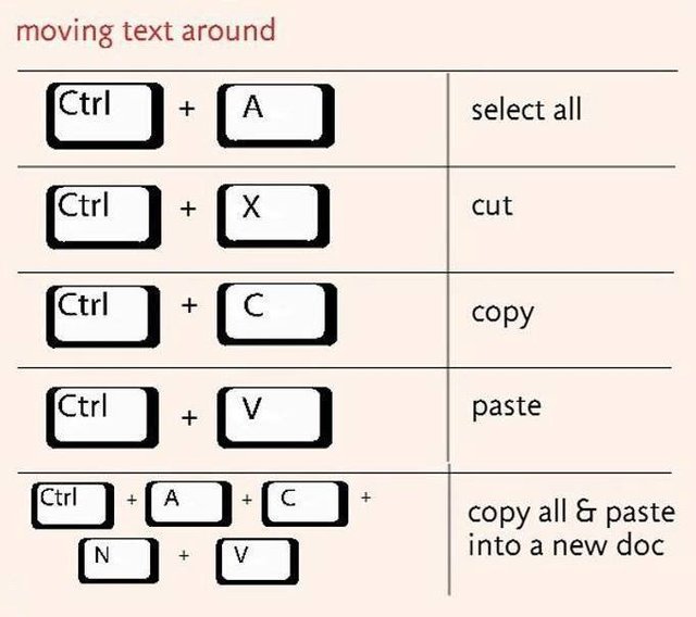 29262006_1794550064173960_7937007745197146112_n.jpg