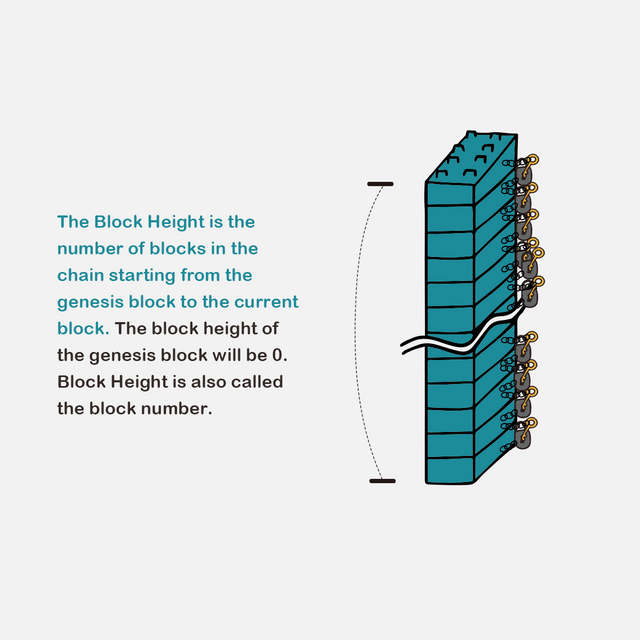 Encyclopedia - Block Height Slide.png