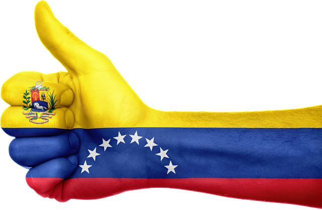 Yo-apuesto-por-venezuela-4.png