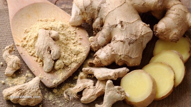 Ginger-Rood-Herb-Spoon.jpg