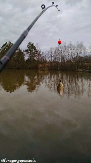 fishing.jpg