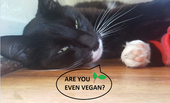 vegan cat.PNG