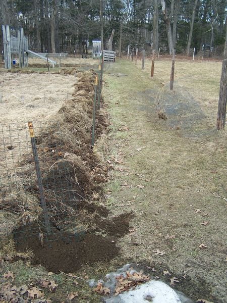 Big garden - fence down, mulch moved, digging started crop Feb. 2018.jpg
