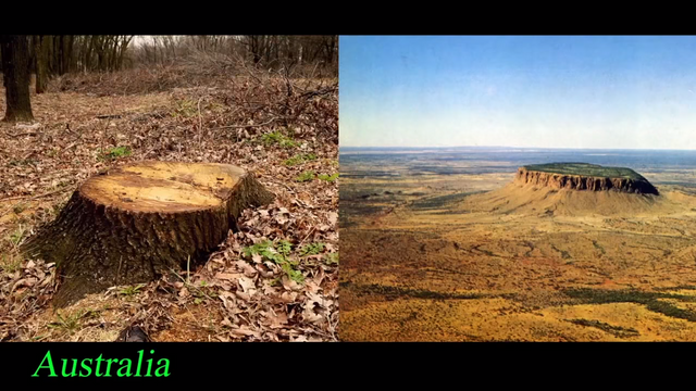 AUSTRALIA STUMP.png