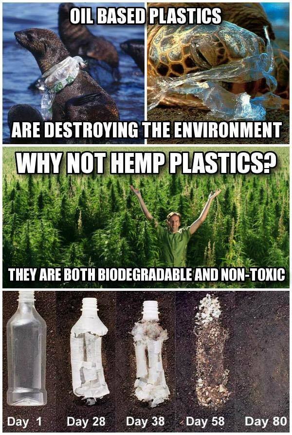 Hemp plastic.jpg