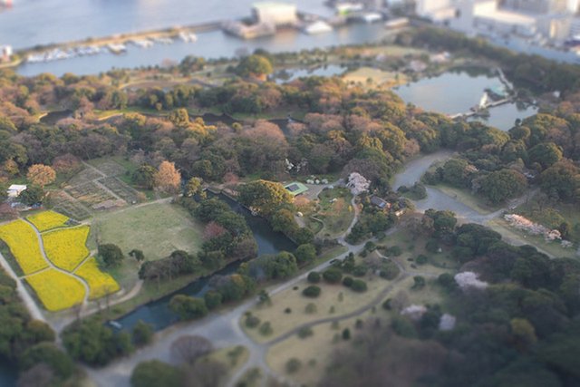 Hamarikyu-Gardens-above-747.jpg