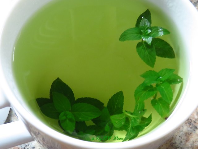 chocolate mint tea.JPG