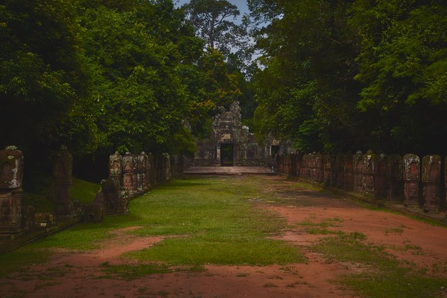 ankor wat 1.jpg