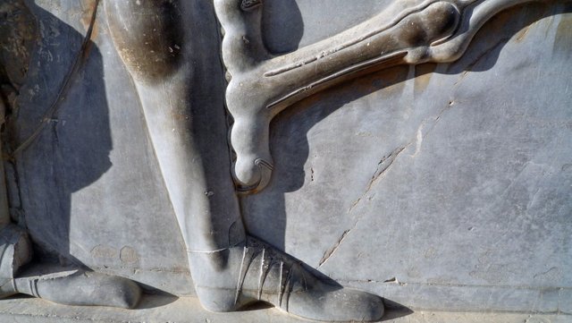 foot carving at Persepolis.jpg