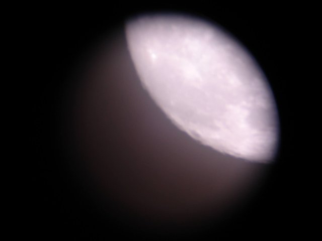 luna19082013ocular10mm.jpg