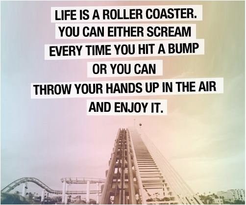 935691365-quote-Life-is-a-roller-Coaster.jpg