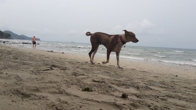 White Sand Beach