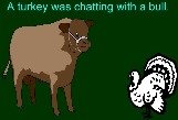 turkey with bull.jpg