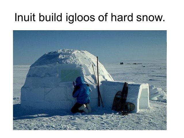 Do Canadians Live In Igloos As A Matter Of Fact Sometimes We Do Steemit