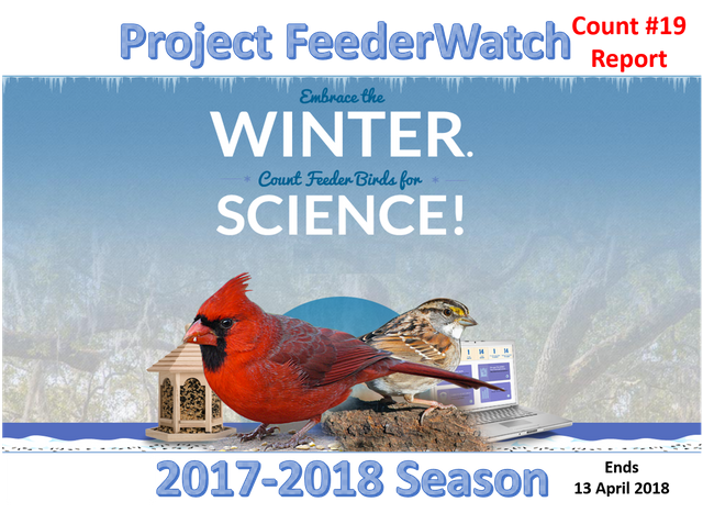 project feederwatch march 2018 image.jpg