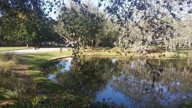 20180212_095155.jpg