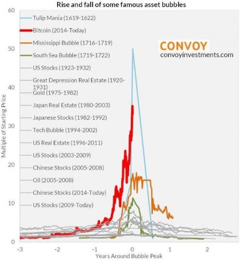 bitcoin tulip mania 1_0.jpg