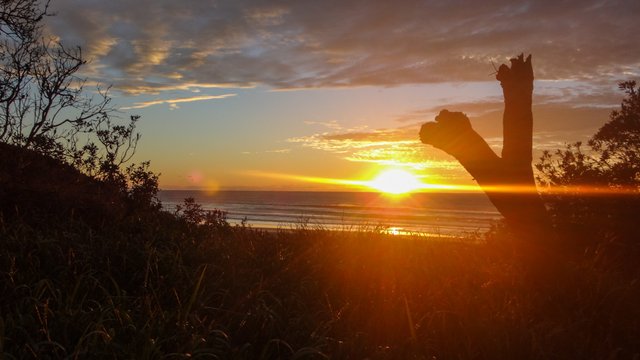 Moreton-2016-06-26-007_copy.jpg