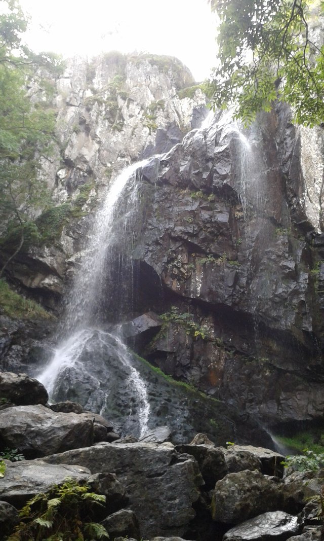 20140920_142842.jpg