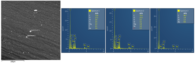 Cross-section.png