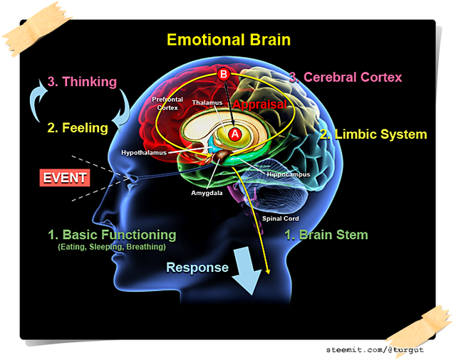 You aren't at the mercy of your emotions — your brain creates them.png