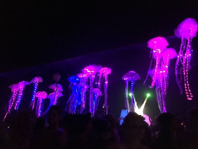 JELLY FISH.JPG