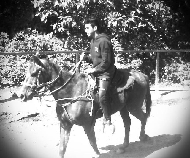 caballo.jpg
