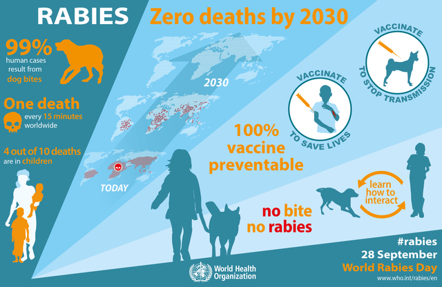 World_Rabies_Day_2016_Infographic.png