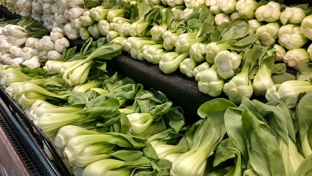 bok-choy-1781196_960_720.jpg