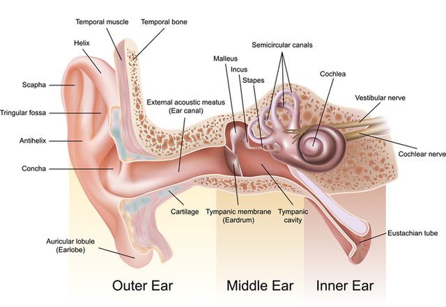 Natural-Remedies-For-Ear-In.jpg