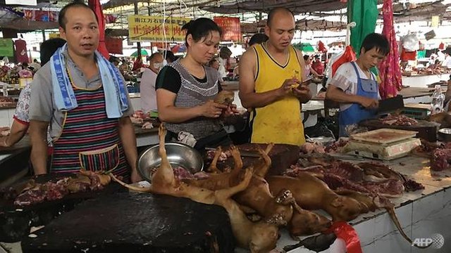 yulin-dog-festival-2017.jpg