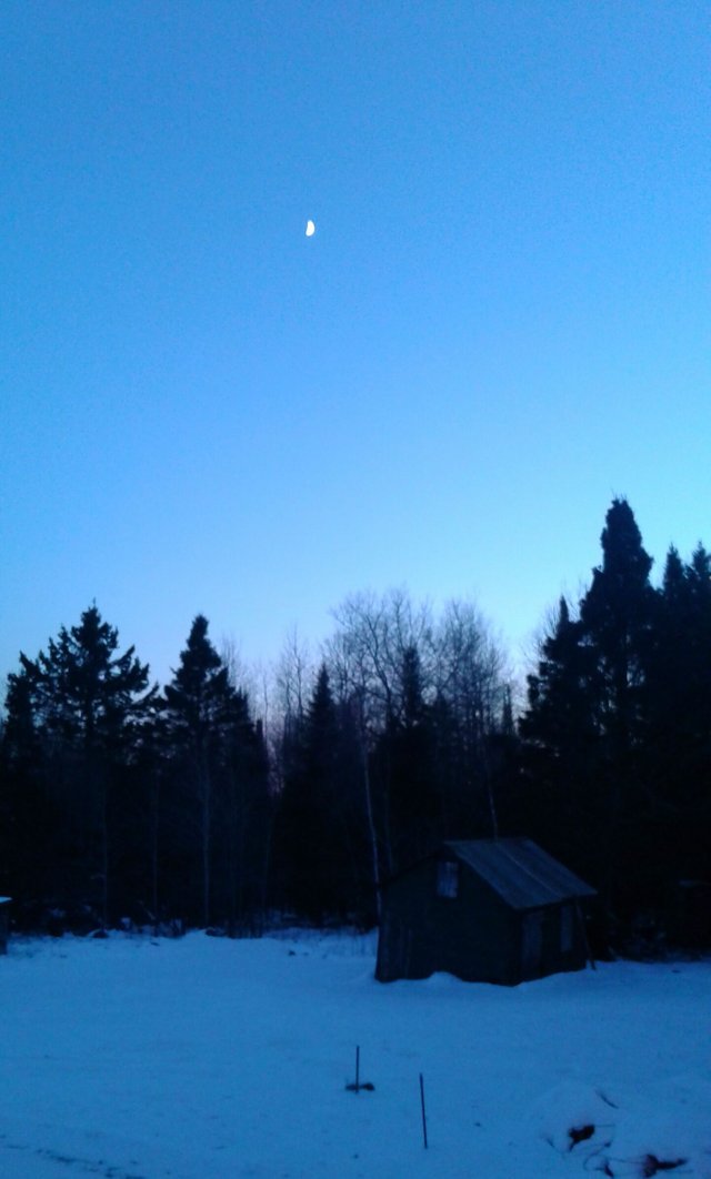 20171128_080357.jpg