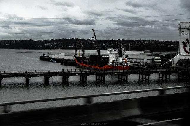 Auckland2012.jpg