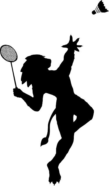 badminton-156463_640.png